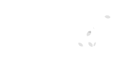 Jazz North logo